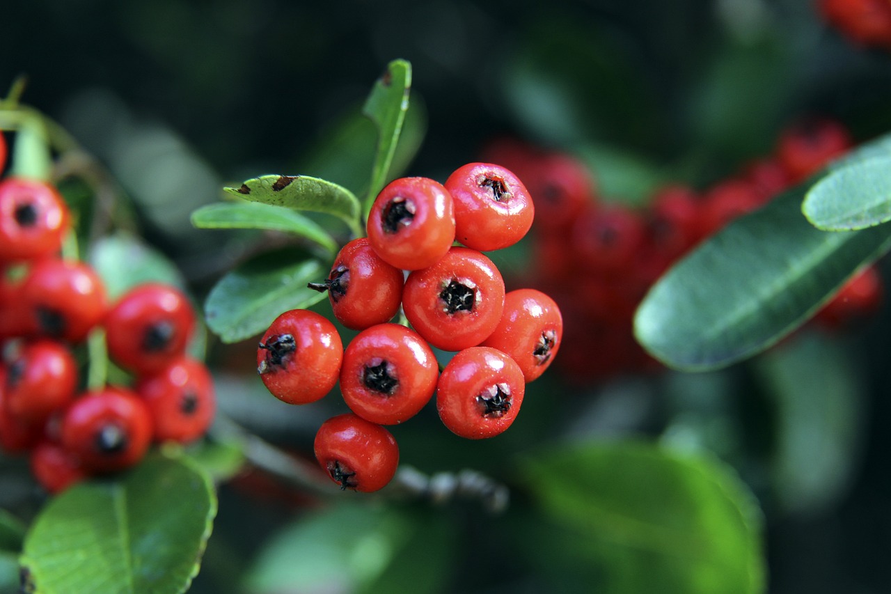 了所有人的 了所有人的