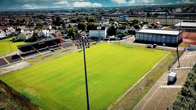 也表现出色 也表现出色