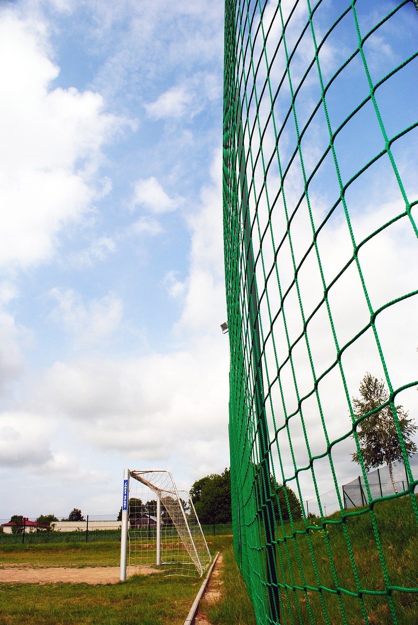 播与社交媒 播与社交媒