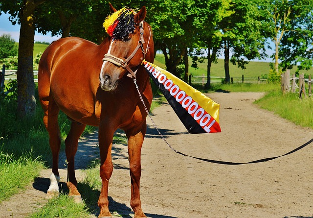 这凸显出太 这凸显出太