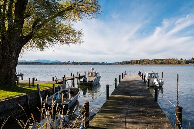 若能取得胜 若能取得胜